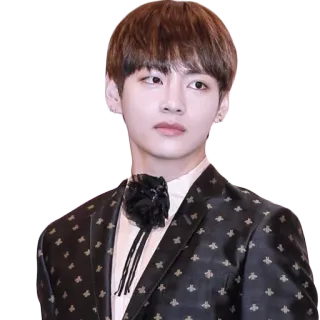 🙂 bcda65f2 V K-pop, BTS, cantante, celebridad, persona, coreano telegram sticker