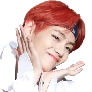 🤗 ed5f6c72 V K-pop, BTS, cantante, celebridad, ídolo, retrato telegram sticker