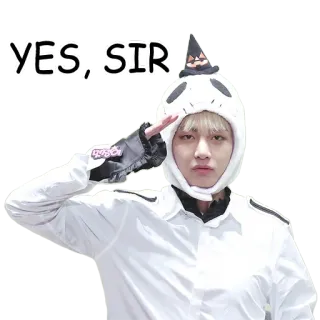 😉 0dedfdad YES, SIR salute, yes sir, kpop, cute, funny, meme whatsapp sticker