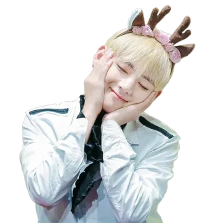 🤗 16d185b6 man, deer antlers, smiling, person, flowers, cute, kpop whatsapp sticker