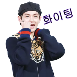 ✊ 5ba028e4 화이팅 k-pop, idol, celebrity, cheering, encouragement whatsapp sticker