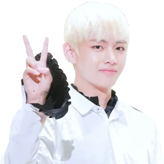 ✌️ aa48fa5c kpop, v, bts, person, celebrity, peace sign whatsapp sticker