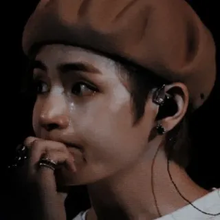 🐻 0b8c427e telegram sticker