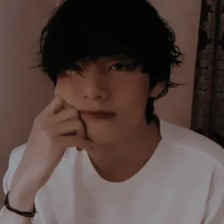 🐻 158828dc telegram sticker