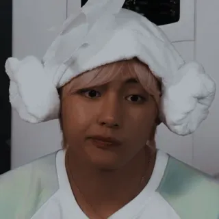 🐻 18437a4c telegram sticker