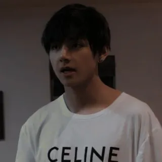 🐻 33ed0dcd CELINE 人, 男人, T恤, celine, 韩流, 偶像 telegram sticker