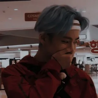 🐻 6641b784 telegram sticker