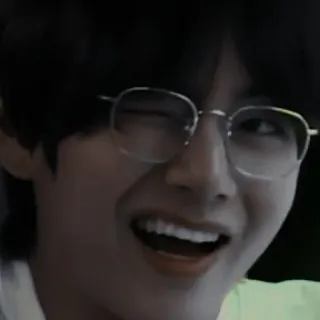 🐻 81c37d4d telegram sticker