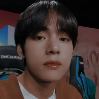 🐻 96059f38 V kpop, 偶像, 歌手, v, bts, 防弹少年团 telegram sticker