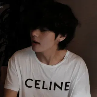 🐻 aac17968 CELINE 男人, 名人, 韩流, T恤, 休闲, 服装 telegram sticker