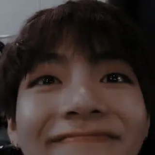 🐻 b807114e telegram sticker