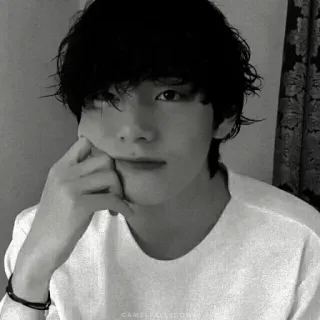 ⛓ 301f653b V CAMILLA MOON V, BTS, K-POP, 歌手, アイドル, 有名人, ミュージシャン telegram sticker