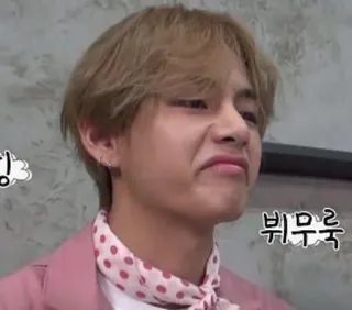 😒 6a8d21e5 닝, 뷔무룩 kpop, meme, ekspresi wajah, lucu, konyol, Korea whatsapp sticker