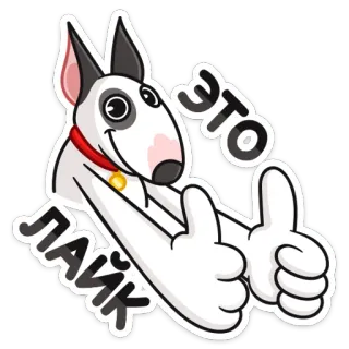 👍 07f0e23b ЭТО ЛАЙК pies, polubienie, kciuk w górę, kreskówka, zwierzę, akceptacja telegram sticker
