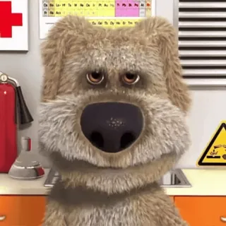 💥 020debfd Ben the Dog pies, zwierzę, mówiący, aplikacja, kreskówka telegram sticker