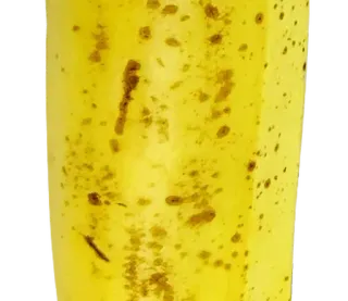 ⚪️ 13f88c49 telegram sticker