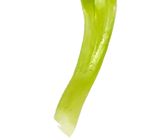 talooong 3 | @phstickerpackganern telegram stickers