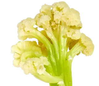 talooong 3 | @phstickerpackganern whatsapp stickers