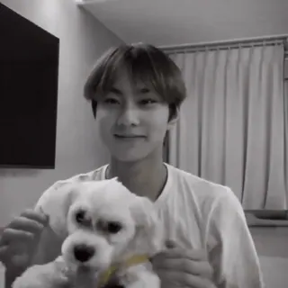 🧢 f892f87c personne, chien, animal de compagnie, mignon, ami, joyeux telegram sticker