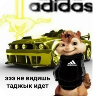 🚗 0b1c1752 Эээ не видишь таджык идет tupai, adidas, mobil whatsapp sticker