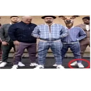 👖 0c481364 anjing, trening, geng, grup, pria whatsapp sticker