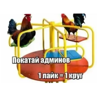 🐦 3a64c9b4 Покатай админов
1 лайк = 1 круг komidi putar, ayam, meme, internet, suka whatsapp sticker