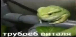 🥴 bf1e69dc трубоёёб виталя katak, pipa, marah, meme whatsapp sticker