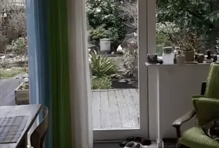 👋 2091c3b4 telegram sticker