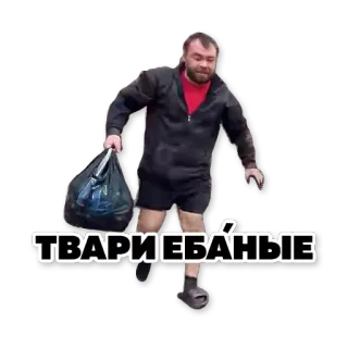 tapok telegram stickers