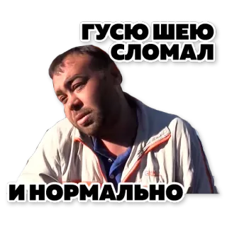 tapok 2 telegram stickers