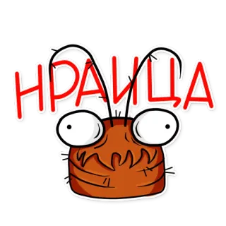👍 544db5bd НРАИЦА Cartone animato, Sticker, Insetto, Divertente, Russo, Testo telegram sticker