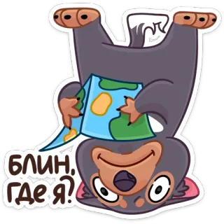 🙃 9f421acc Блин. Где я? 漫画, 動物, 地図, 迷子, 混乱, 逆さま telegram sticker