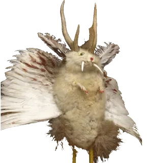 🎃 557b8ef9 telegram sticker