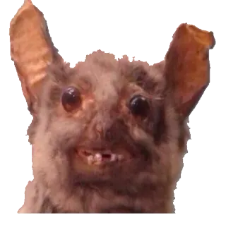 taxiderm whatsapp stickers