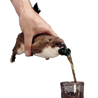 🍼 be446151 weasel, animal, bottle, alcohol, drink, glass telegram sticker