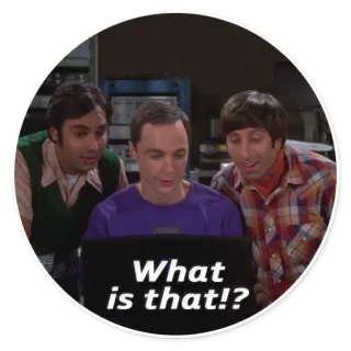 ❓ 9e645017 What is that!? the big bang theory, drôle, série télé, réaction telegram sticker