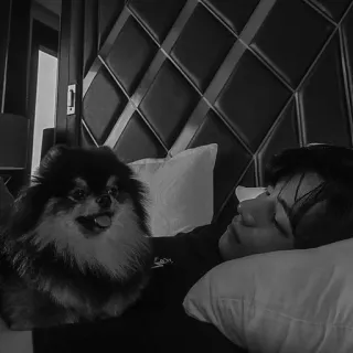 ▪️ 57d5141f telegram sticker