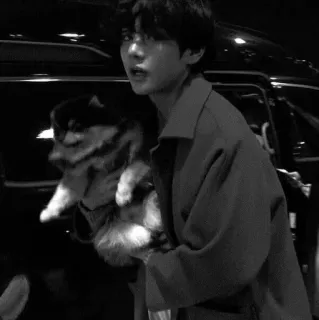 ▪️ f0e1e999 telegram sticker