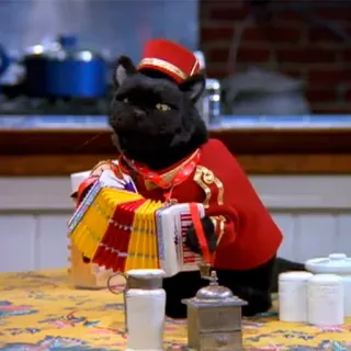 🎼 331fad8f Salem Saberhagen Sabrina the Teenage Witch gatto nero, fisarmonica, uniforme rossa, Salem Saberhagen, Sabrina vita da strega, sitcom, TV whatsapp sticker