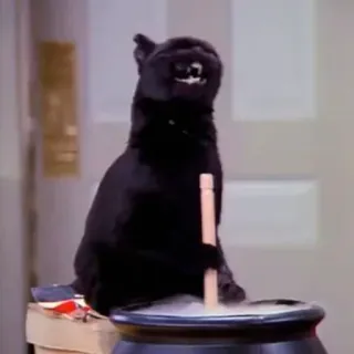 👨 4afb0c03 Salem Saberhagen Sabrina the Teenage Witch gatto, strega, magia, sitcom, gatto nero, calderone, mescolare whatsapp sticker
