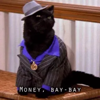 🤠 6600defe MONEY, BAY-BAY gatto, divertente, soldi, animale, cappello, vestito whatsapp sticker