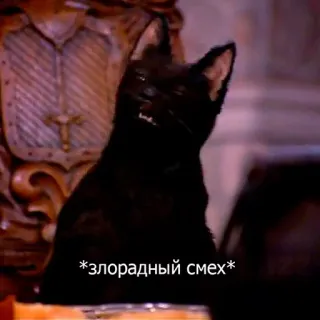 😈 6d8c1c94 *зловрадный смех* gatto, gatto nero, risata diabolica, meme, animale whatsapp sticker