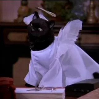 🕊 73058e7e Salem Saberhagen Sabrina the Teenage Witch gatto, gatto nero, Salem, Salem Saberhagen, strega, Sabrina, sitcom, divertente whatsapp sticker