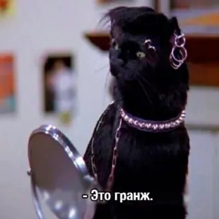 Cat Salem telegram stickers