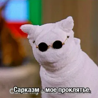 😷 7c684e33 Сарказм - мое проклятье. gatto, sarcasmo, occhiali, meme, divertente, russo whatsapp sticker