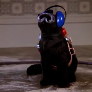 Cat Salem telegram stickers