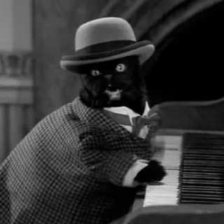 🎹 dca532bd gatto, pianoforte, cappello, abito, bianco e nero whatsapp sticker