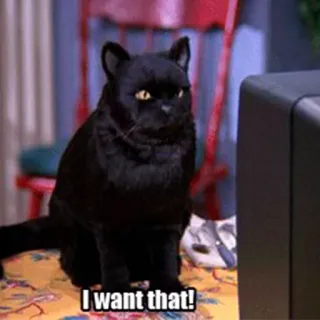 🙀 fe12494f I want that! gatto, animale domestico, desiderio, volere, televisione whatsapp sticker