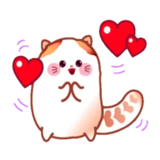 😍 10bbcc28 gato, corazón, lindo, animal, amor telegram sticker