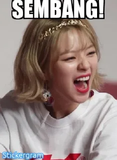 😆 45df3299 SEMBANG! meme, engraçado, expressão, mulher, gritar, rir telegram sticker